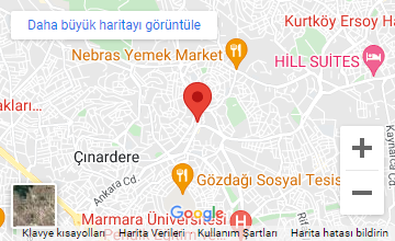 Google Maps
